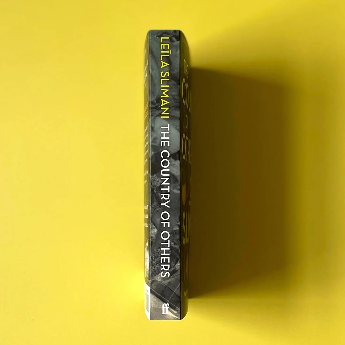 The Country of Others: Leila Slimani