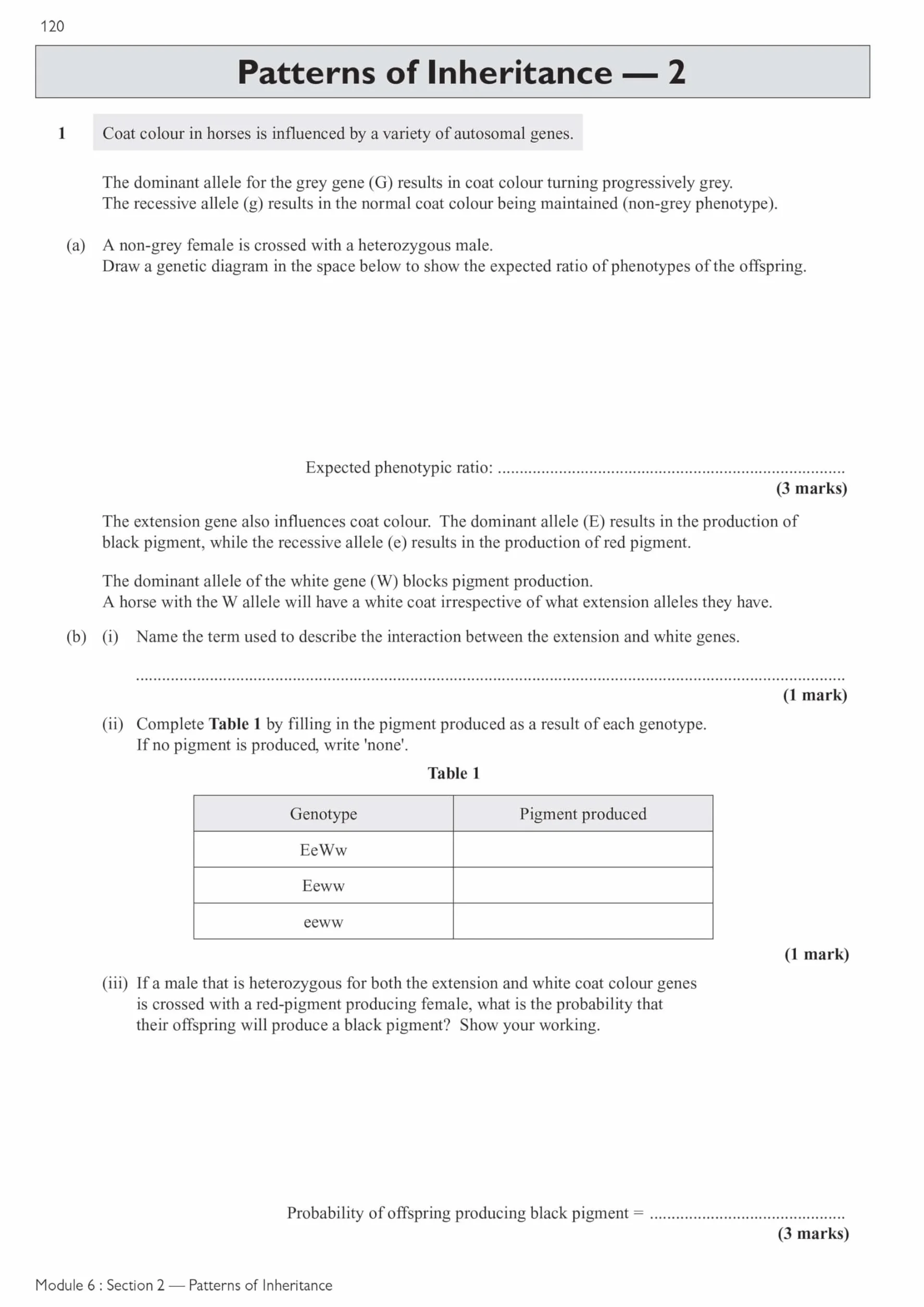 A-Level Biology: OCR A Year 1 & 2 Exam Practice Workbook includes Answers