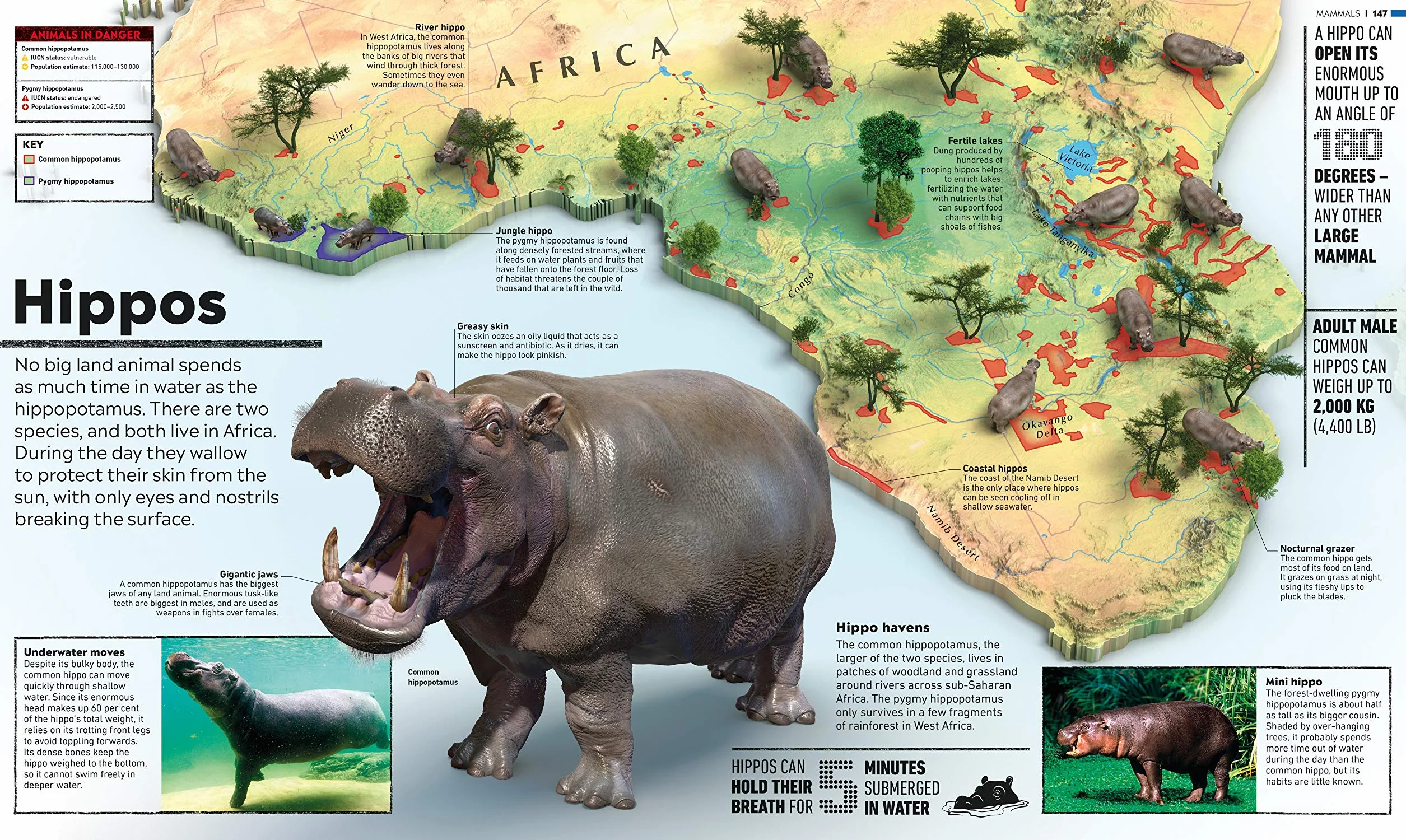 What's Where on Earth? Animal Atlas: The World's Wildlife as You've Never Seen it Before
