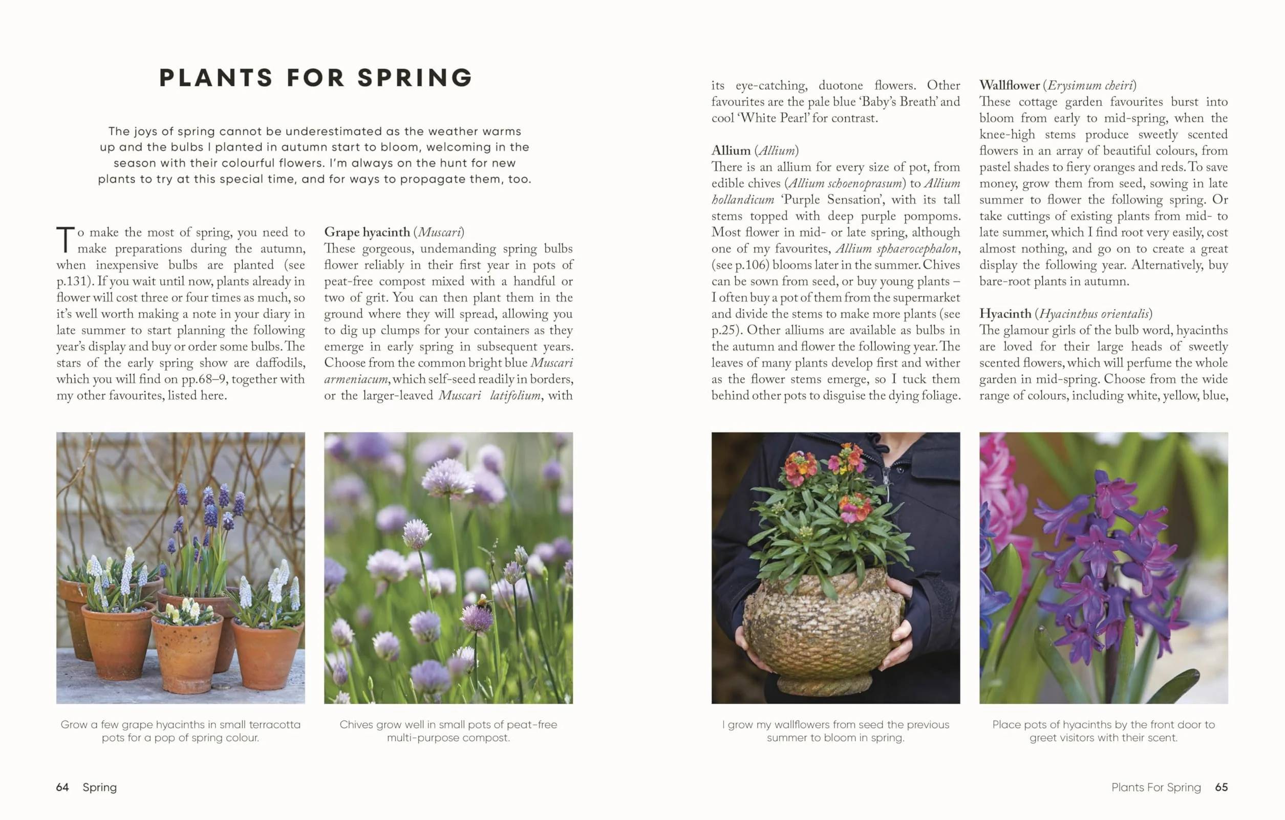 The Money-Saving Gardener Containers: THE INSTANT SUNDAY TIMES BESTSELLER