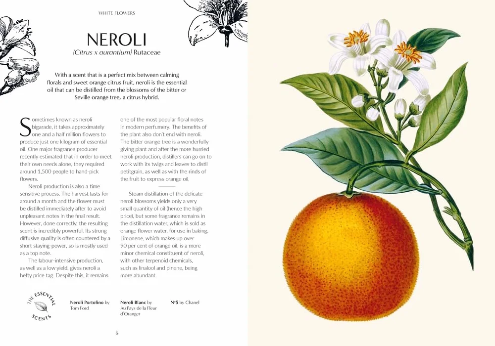 Kew - Fragrance: From Plant to Perfume, the Botanical Origins of Scent