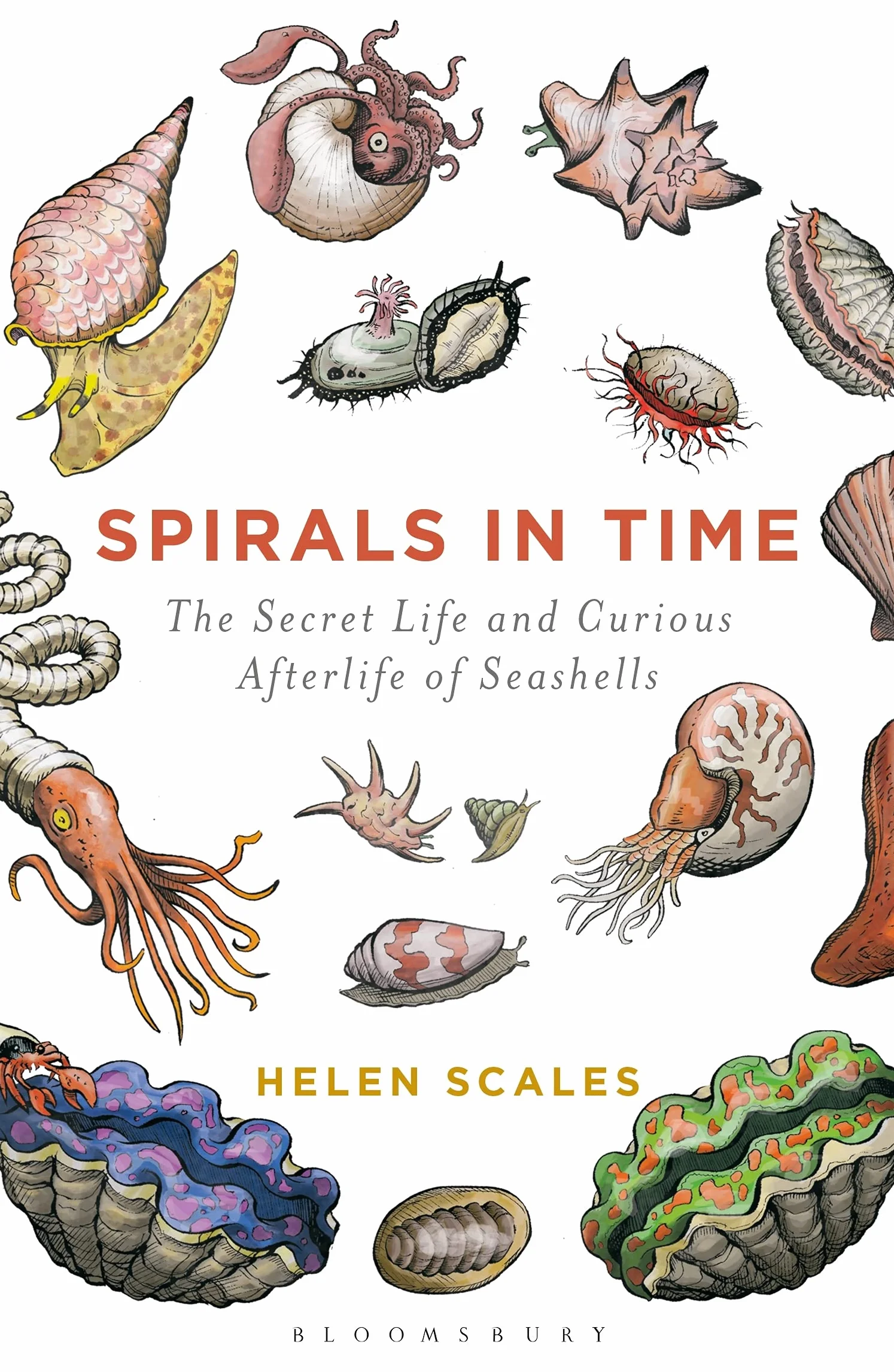 Spirals in Time: The Secret Life and Curious Afterlife of Seashells