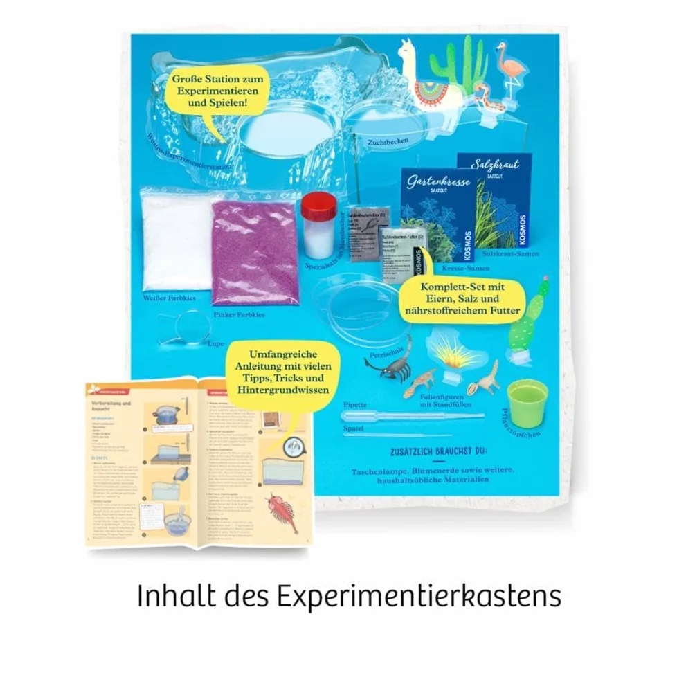Salzkrebse: Experimentierkasten