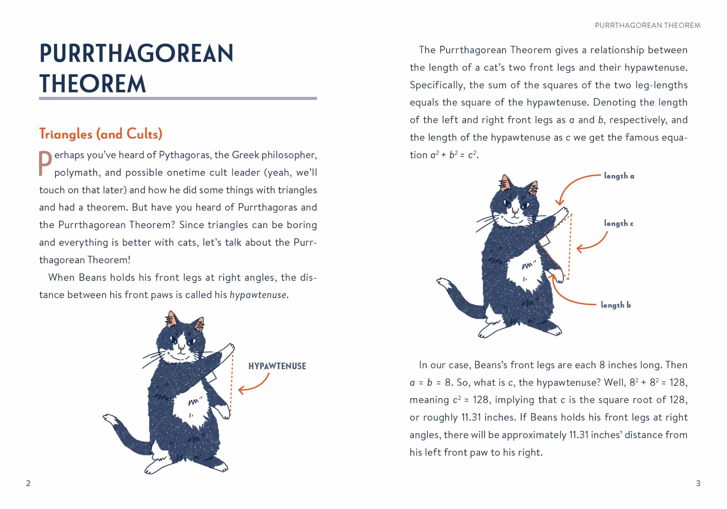 Math Cats: Scratching the Surface of Mathematical Concepts