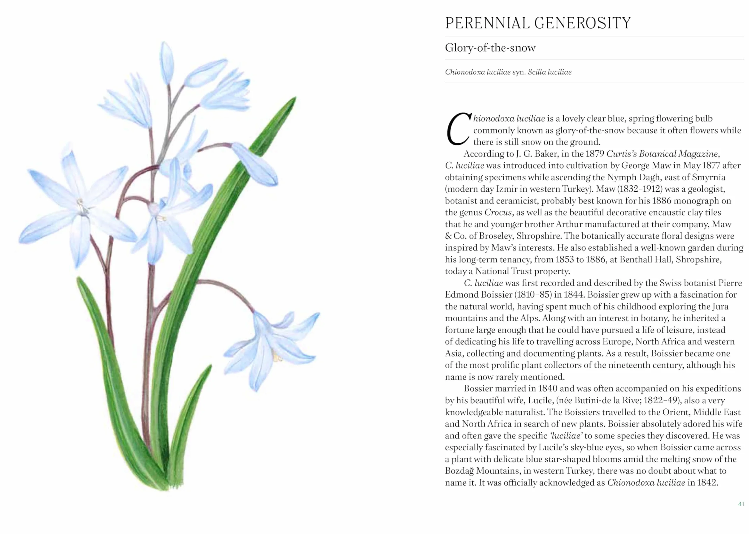 A Short History of Flowers: The Stories That Make Our Gardens